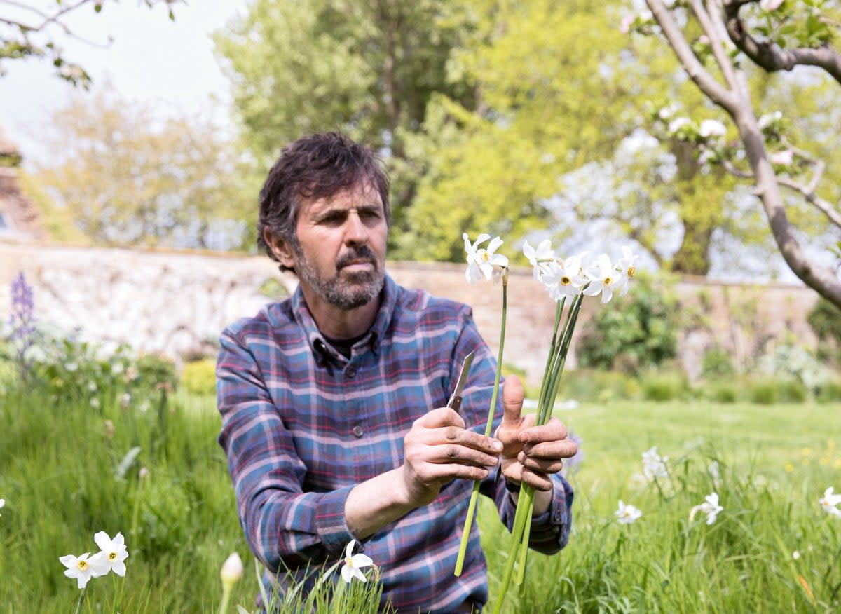 5 spring bulbs (Sarah Cuttle/PA)