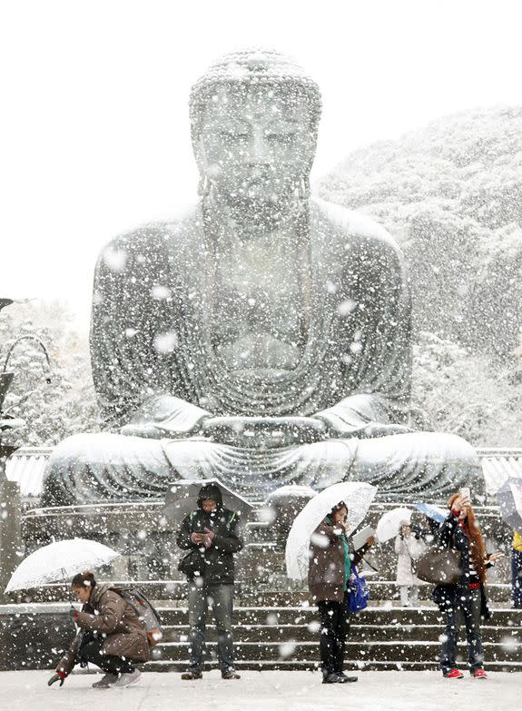 The Great Buddha statue, Kotoku-in temple.