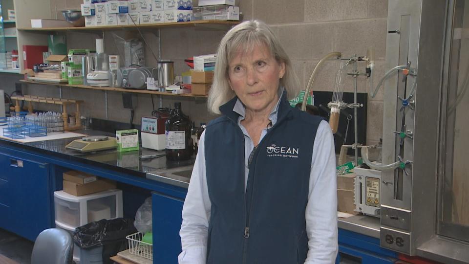 Sara Iverson, a biology professor at Dalhousie University, received $150,000 in federal funding last week for her research with colleague Suzanne Budge.