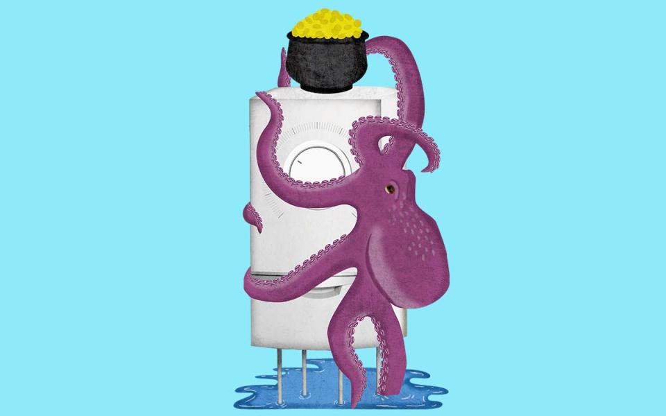 octopus energy suppliers gas prices