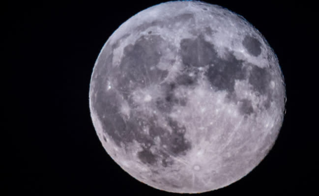 Scientists believe some life forms from Earth may have travelled to the moon. Source: Getty