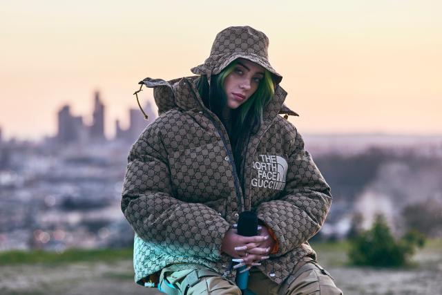 Gucci x The North Face Down Coat Green/Dark Green