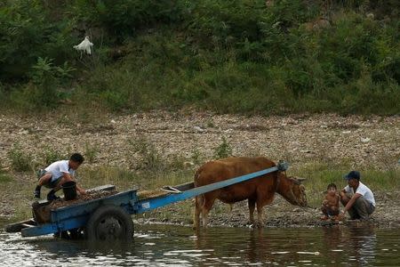 An ox-wagon and two men and a boy are seen at the bank of the Yalu River, outside the North Korean town of Sinuiju, opposite Dandong in China's Liaoning province, September 11, 2016. REUTERS/Thomas Peter