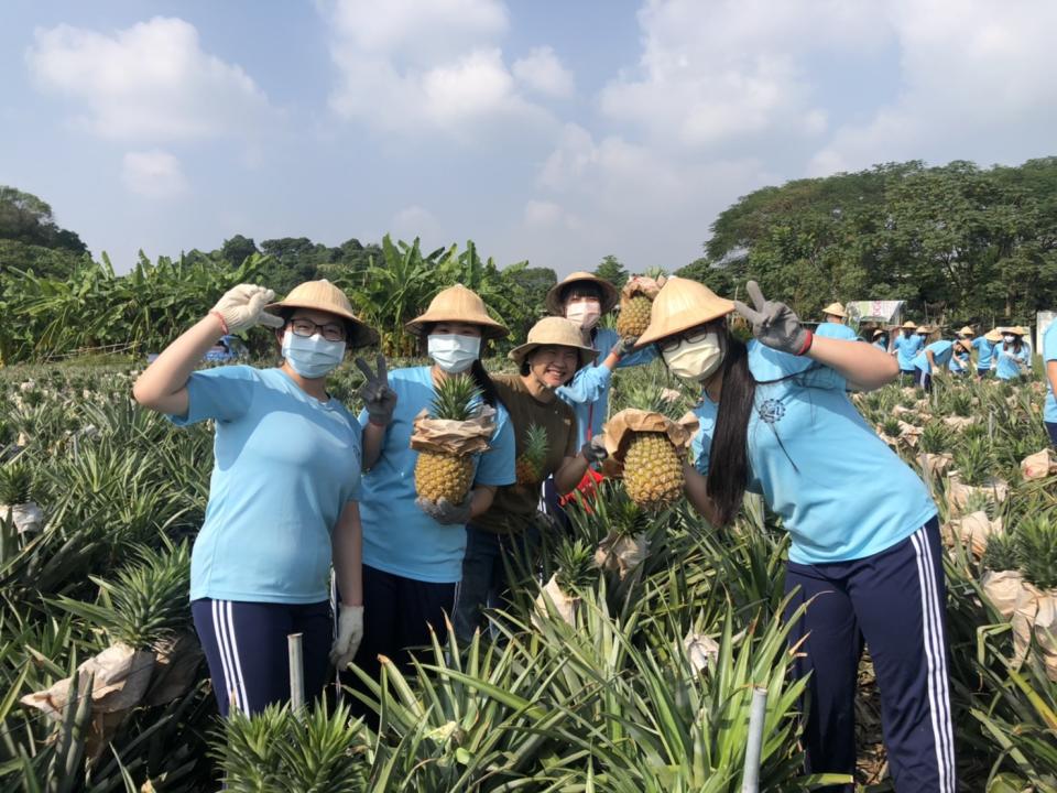 ▲陽光果子農場運用科技玩轉，體驗鳳梨魅力。（圖/台灣休閒農業發展協會）