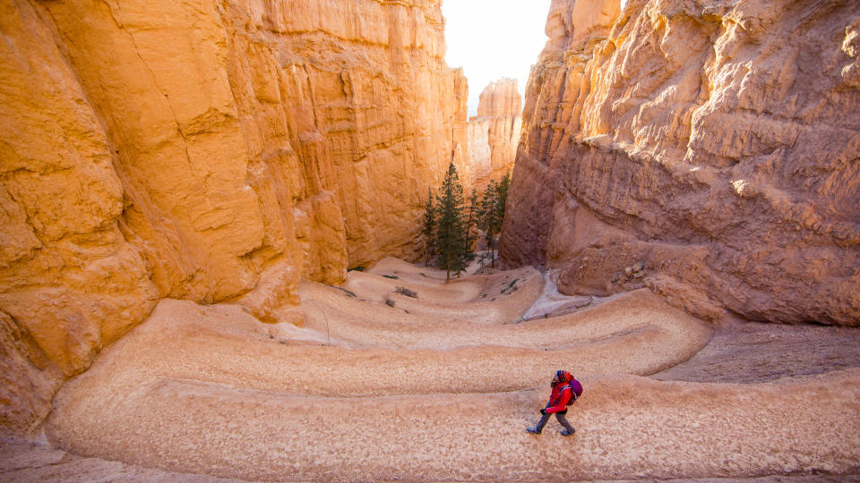 A hiker on a slickrock trail in Bryce Canyon