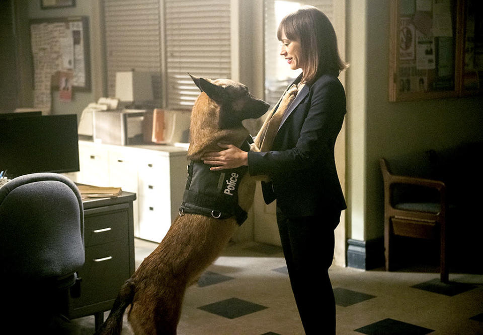 ‘Angie Tribeca’ (TBS)