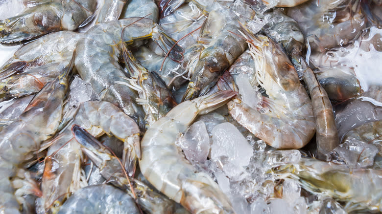 White shrimp on ice