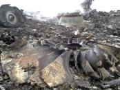 The site of a Malaysia Airlines Boeing 777 plane crash is seen at the settlement of Grabovo in the Donetsk region, July 17, 2014. REUTERS/Maxim Zmeyev