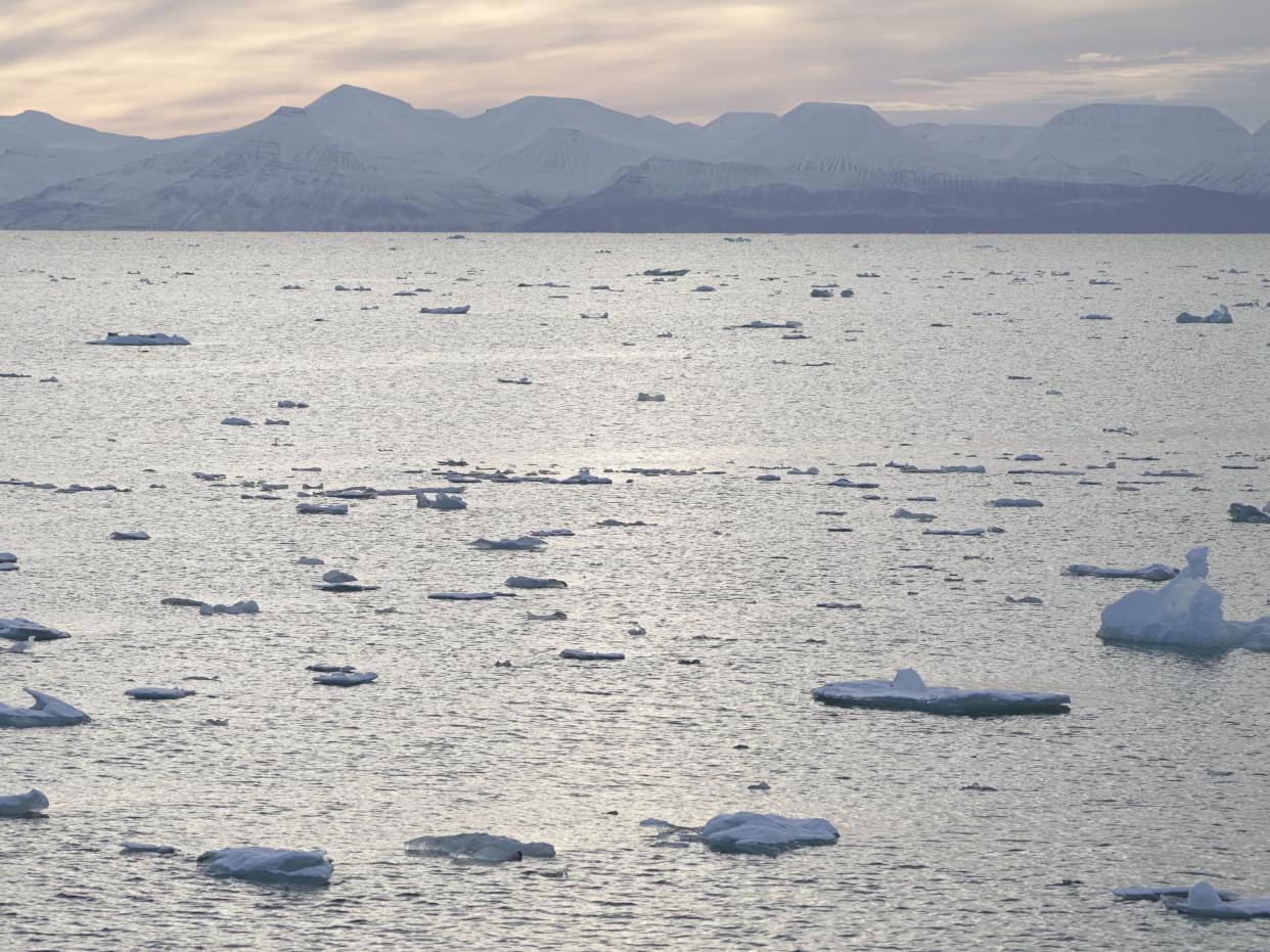 Small ice floes in Yoldiabukta Bay towards Spitsbergen island, part of the Svalbard archipelago in northern Norway, September 27, 2020 (REUTERS)