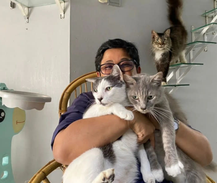 Todd with Adibah's cats