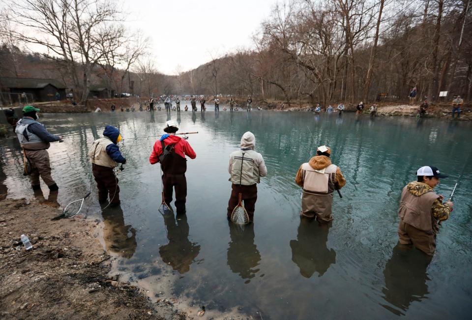 March 1 is opening day at Missouri's four trout parks: Bennett Spring State Park near Lebanon, Montauk State Park near Licking, Roaring River State Park near Cassville, and Maramec Spring Park near St. James.