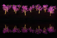 En esta imagen de archivo, una instalación de luces, vista durante el festival de Linternas Chinas en Santiago, Chile, el 4 de enero de 2023. (AP Foto/Matías Basualdo, archivo)