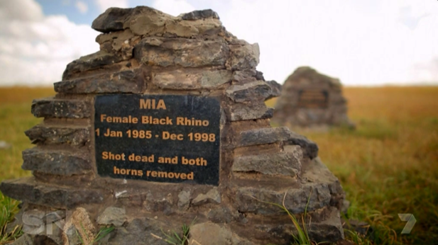 Rhino graves show the brutality of poachers in the area