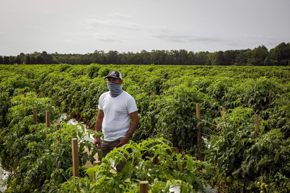 Los trabajadores agrícolas, a menudo alojados en remolques o barracas abarrotadas, son especialmente vulnerables a la infección. (Carlos Bernate/The New York Times)    