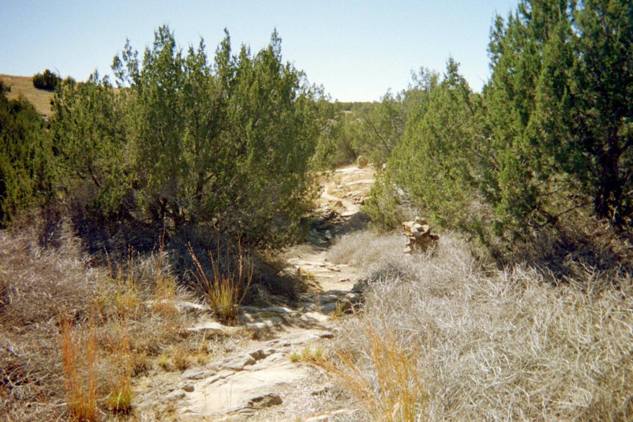 Vogel Canyon Picnic Area, Comanche National Grasslands