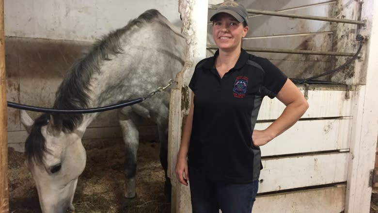 Downtown Halifax horse stable reopens after 3-month quarantine