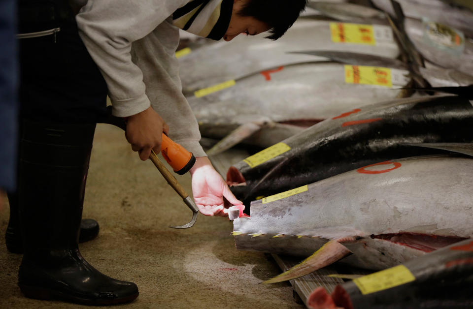 Bidding for tuna at Tsukiji