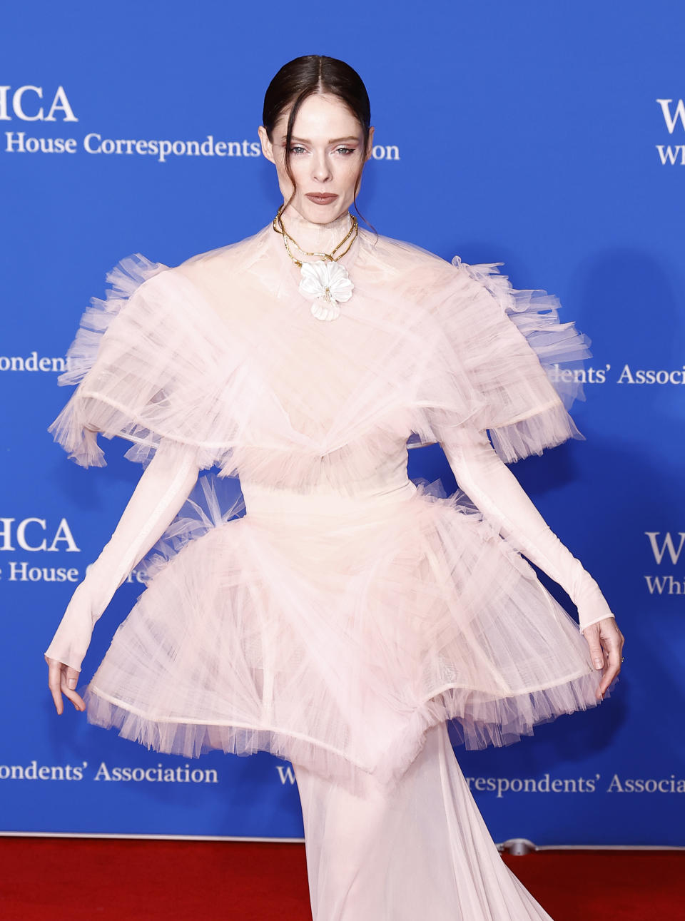 WASHINGTON, DC - APRIL 27: Coco Rocha attends the 2024 White House Correspondents' Dinner at The Washington Hilton on April 27, 2024 in Washington, DC. (Photo by Paul Morigi/Getty Images)