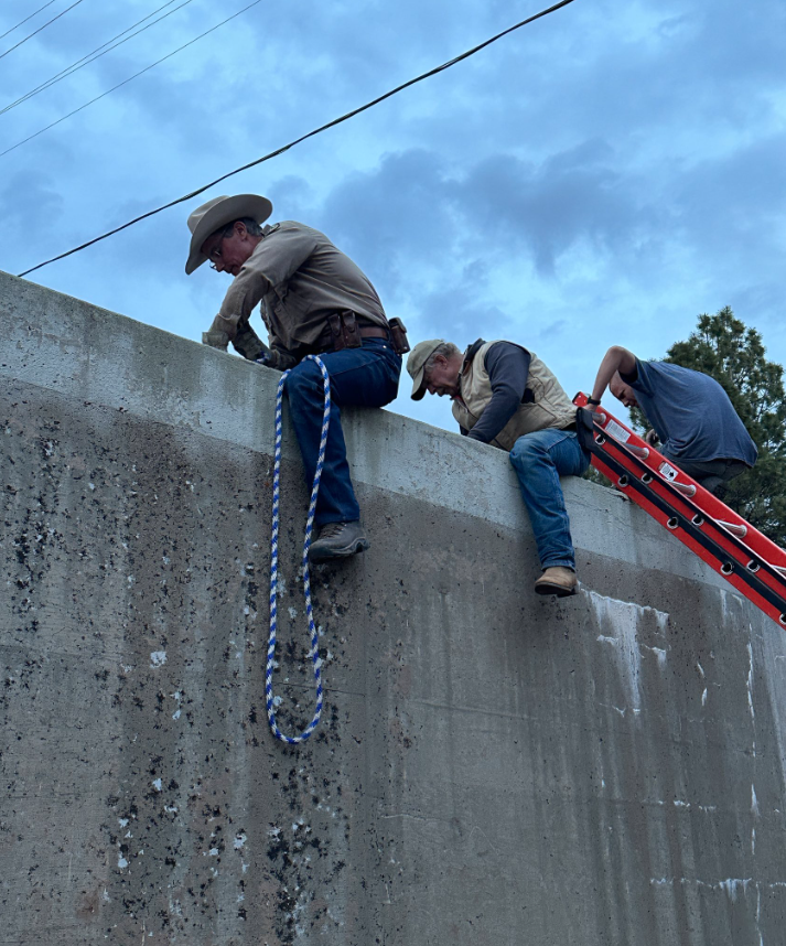 CPW rescues yearling mountain lions from spillway