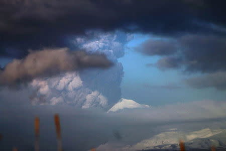 The Pavlof Volcano spews ash in the Aleutian Islands of Alaska in this handout photo released to Reuters on March 28, 2016 by Alaska Volcano Observatory. REUTERS/Royce Snapp/Alaska Volcano Observatory/Handout via Reuters