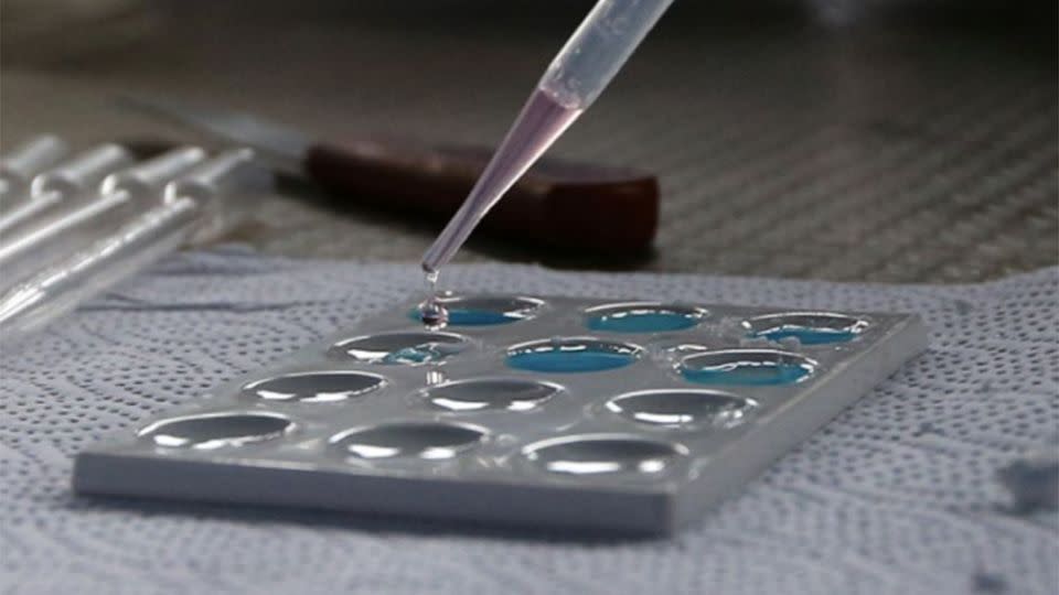 Scientists have analysed which drugs are the most addictive. Photo: Yahoo UK
