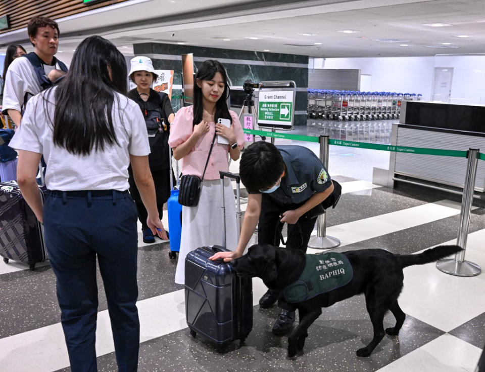 一名印尼旅客打包有豬肉的飛機餐，被檢疫犬抓到，開罰20萬元。（示意圖，資料照）