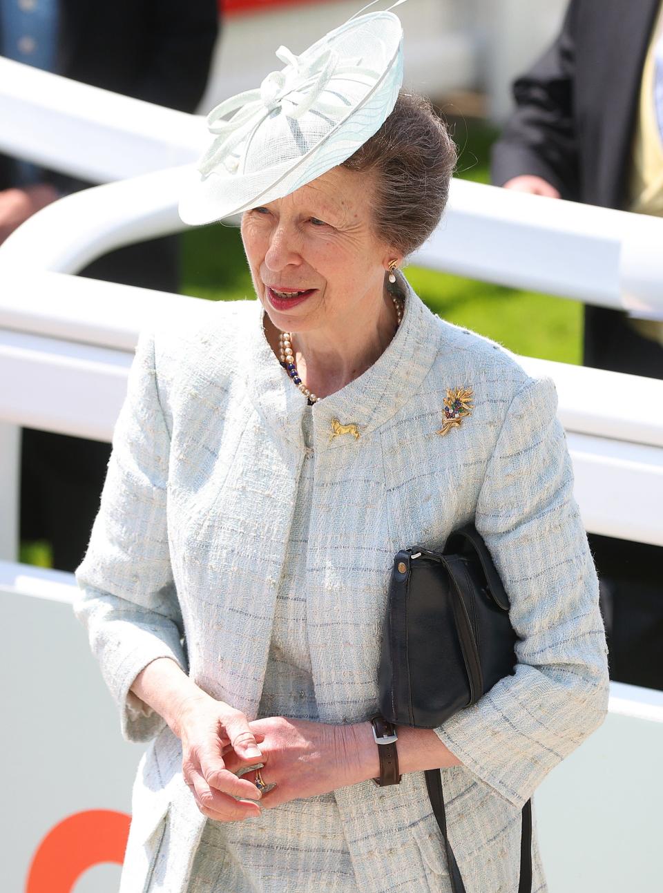 Princess Anne, the Princess Royal (Getty Images)