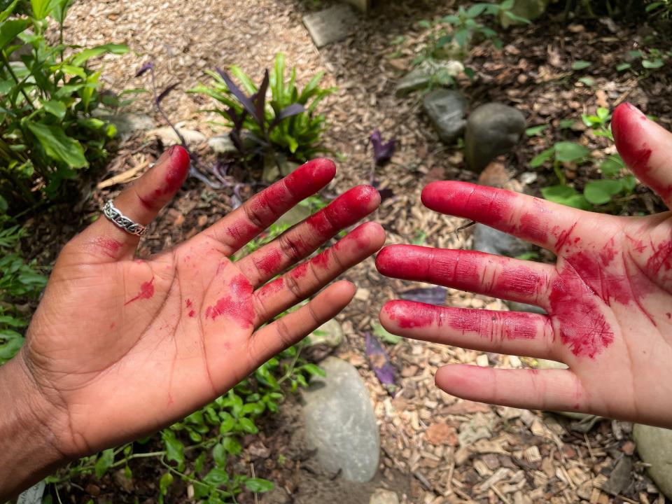 A pair of hands stained red from farming.