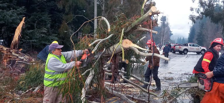 En Lago Puelo, trabaja Defensa Civil para despejar los caminos