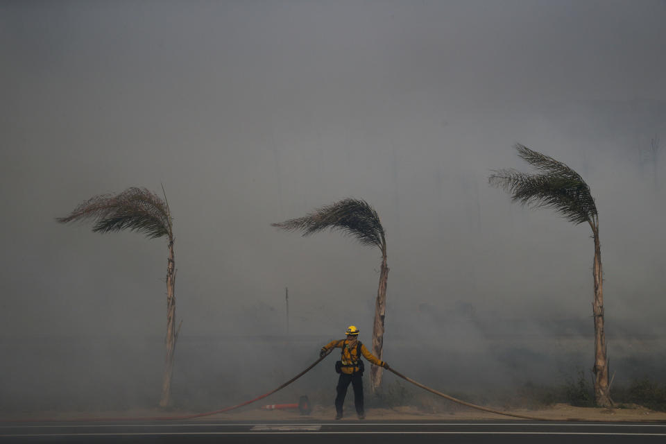<p>Palm trees sway in a gust of wind as a firefighter carries a water hose while battling a wildfire at Faria State Beach in Ventura, Calif., Thursday, Dec. 7, 2017. (Photo: Jae C. Hong/AP) </p>