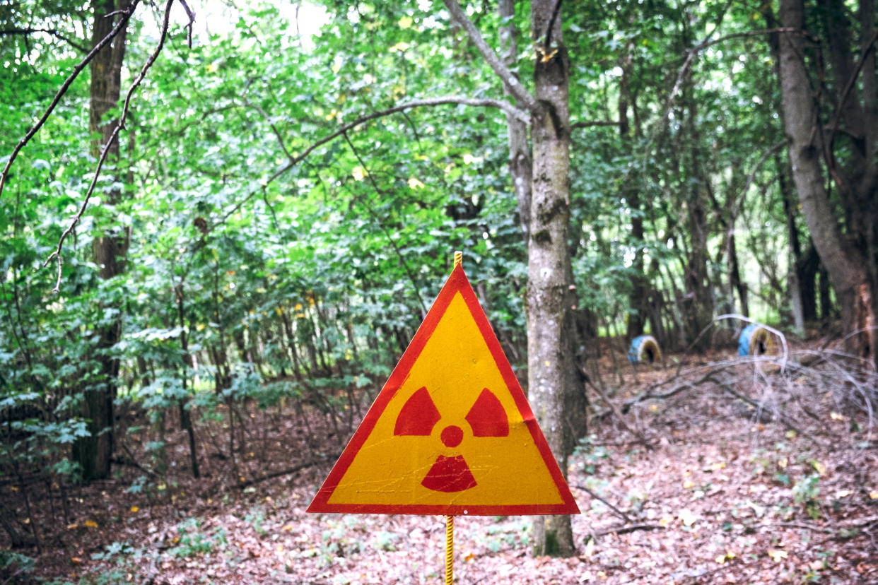 Attention, forêt radioactive (Getty Images)