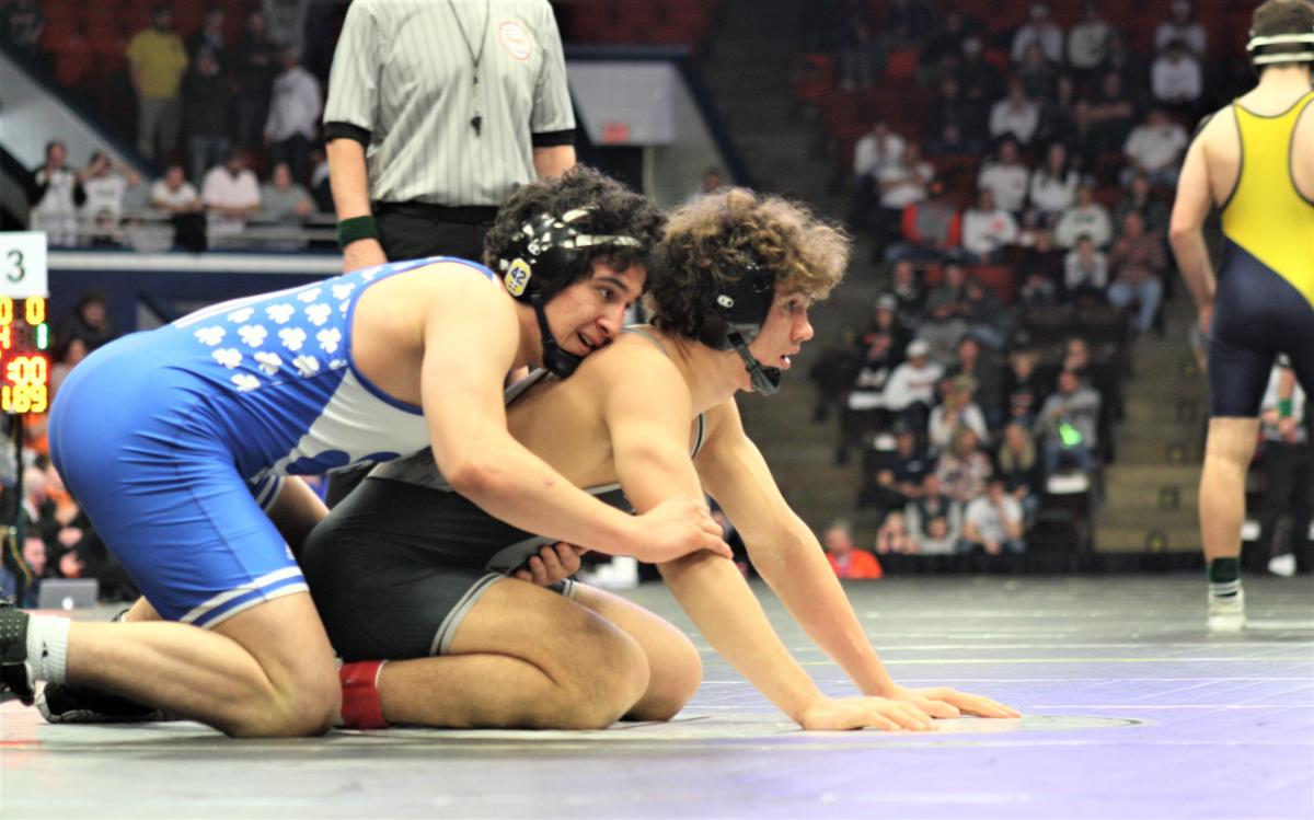 Michigan high school wrestling team finals Top seeds take titles in