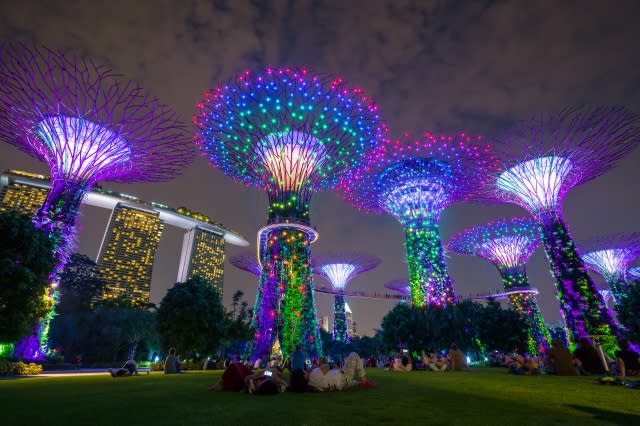 Singapore Supertree Grove