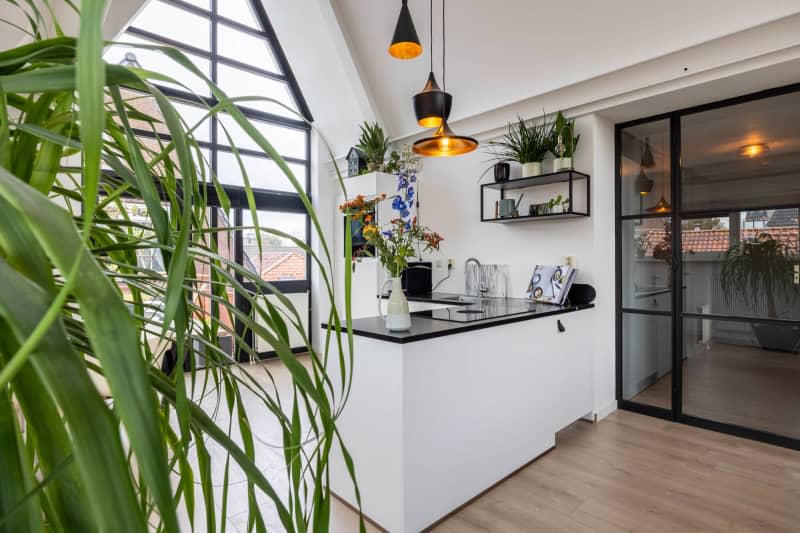 Glass paneled door, peninsula island with black counter tops, large windows and A frame ceiling, house plants, modern black lighting fixtures in layered effect