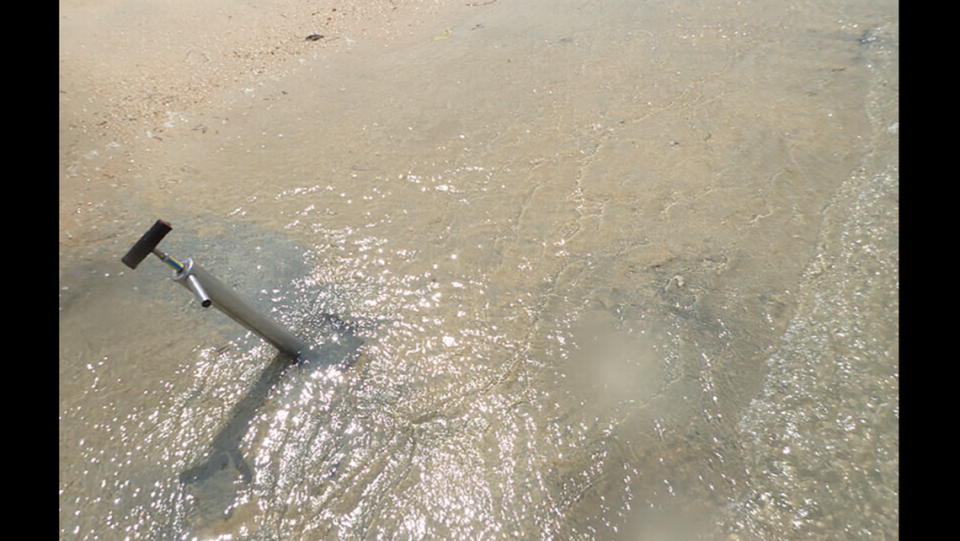 Researchers used a yabby pump to extract creatures from burrows, according to the study.