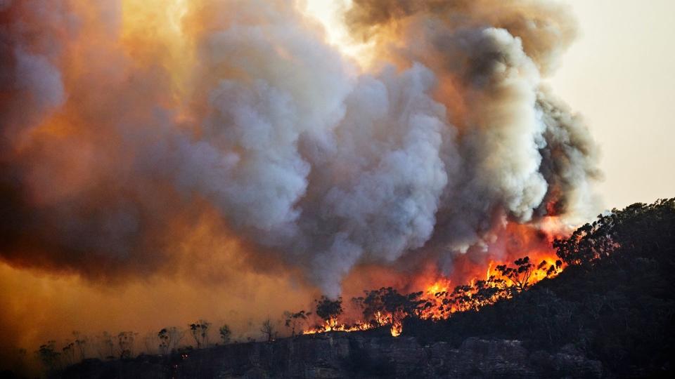 Bushfire rages on clifftop due to climate change. 