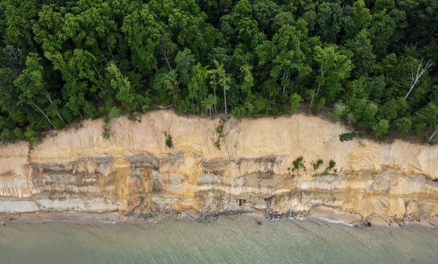 Perry Spring / Getty Images Calvert Cliffs State Park