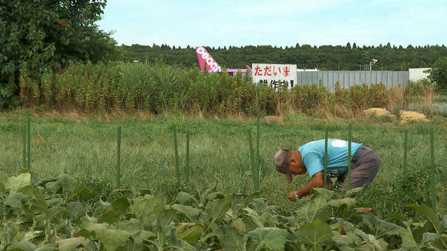 Takao Shito, 73, is seen farming as a plane is on a nearby runway.   / Credit: CBS News