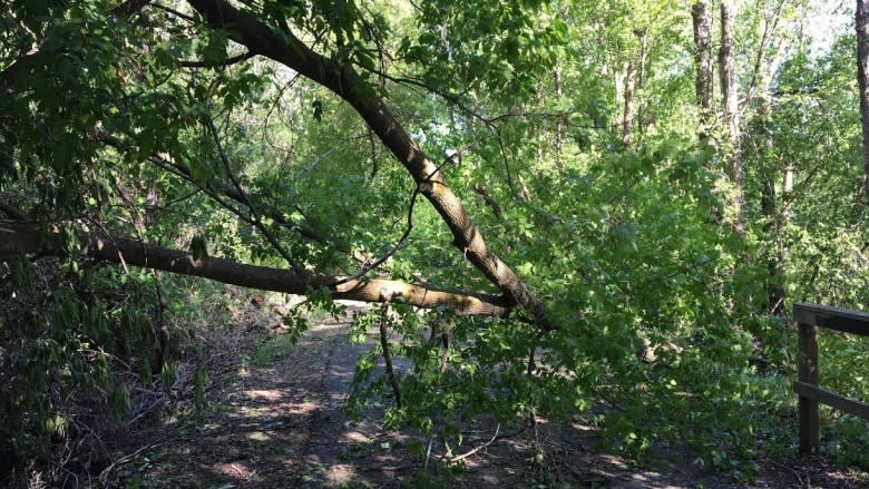 River valley trail system open following Wednesday's storm