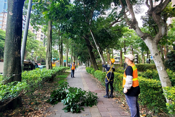 山陀兒颱風逐漸接近臺灣，北市公園處修剪樹木，預防災損