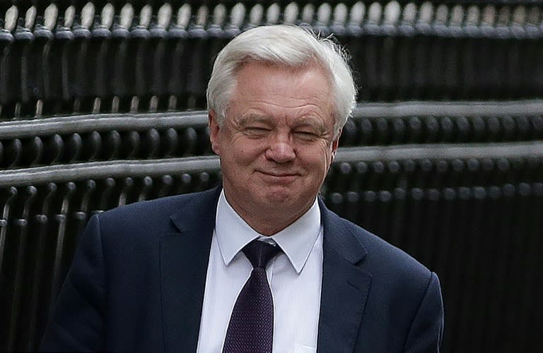 David Davis has sparked further confusion over the border deal with Northern Ireland