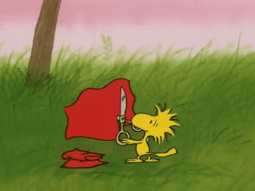 GIF from "Charlie Brown"