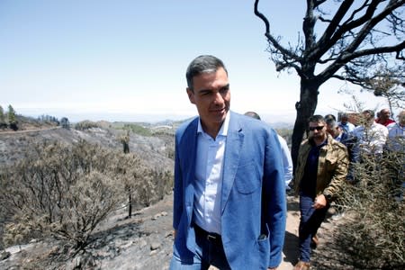 Spain's acting Prime Minister Pedro Sanchez visits Gran Canaria in Canary Islands that has been affected by Spain's worst wildfire in six years, in Valleseco