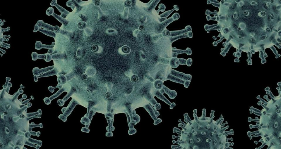 ▲印度媒體聲稱，歐美出現「Delmicron」新變種病毒。示意圖。（圖／翻攝自Pixabay）