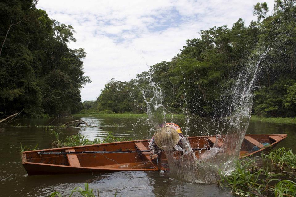 Villager Diomesio Coelho Antunes from the Rumao Island community clubs an arapaima or pirarucu, the largest freshwater fish species in South America