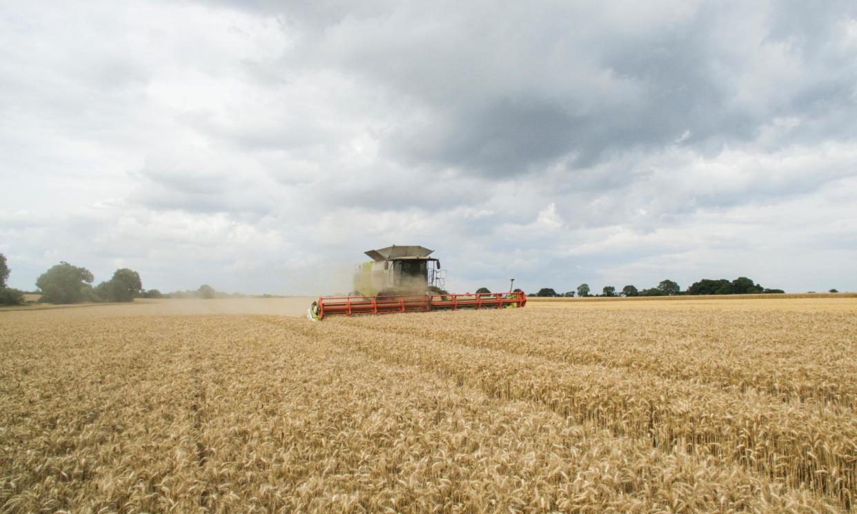 <span>Record rainfall has meant farmers in many parts of the UK have been unable to plant crops such as potatoes, wheat and vegetables.</span><span>Photograph: Graeme Robertson/The Guardian</span>