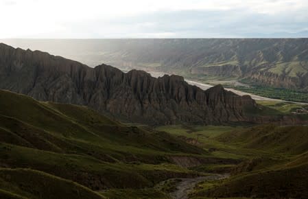 The Wider Image: As Chinese mountains get hotter, 'cure-all' fungus dwindles