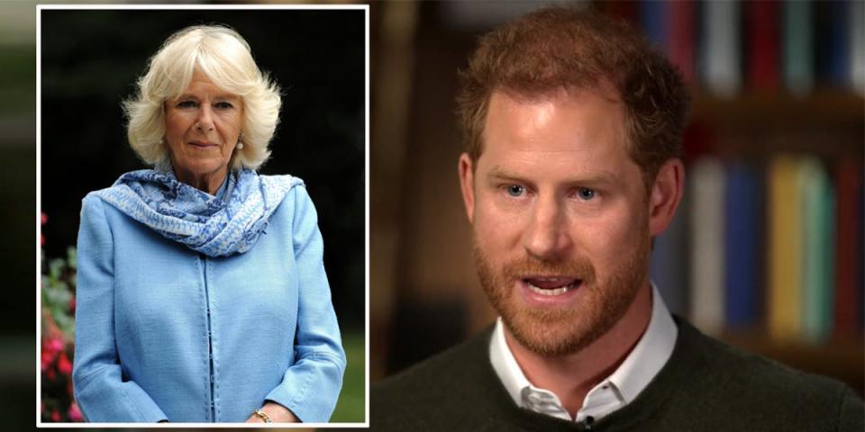 Prince Harry tells Anderson Cooper that in the eyes of the British media Camilla “was the villain. She was the third person in their marriage. She needed to rehabilitate her image.” That need, he argues, made her “dangerous.” (ES Composite)