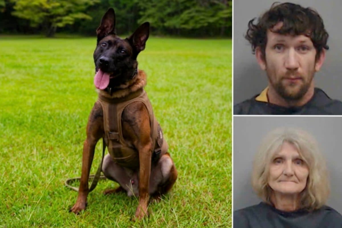 James Robert Peterson, 37, and Scarlett Boyd, 61,  have been arrested following the fatal shooting of a K9 officer named Coba in South Carolina (South Carolina Law Enforcement Division/ Newberry County Sheriff’s Office)