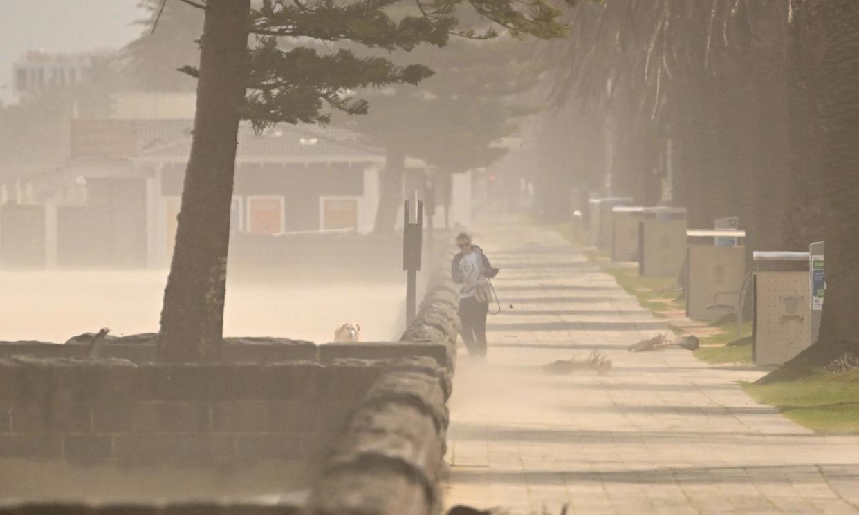 <span>A woman and her dog are blasted by sand from a Port Phillip Bay beach in Melbourne on 28 August as strong winds buffeted the city. </span><span>Photograph: William West/AFP/Getty Images</span>